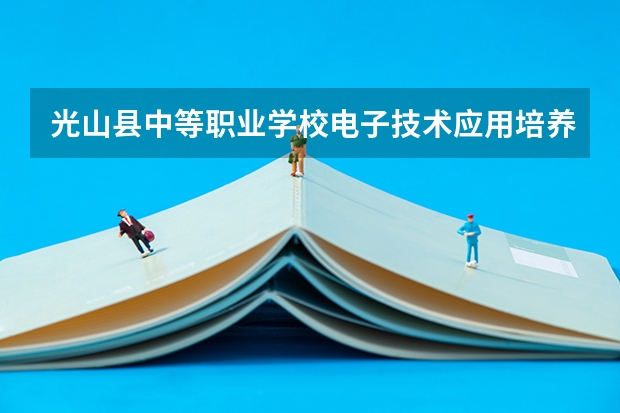 光山县中等职业学校电子技术应用培养目标定位