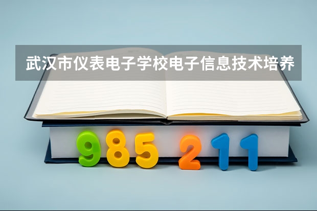 武汉市仪表电子学校电子信息技术培养目标定位