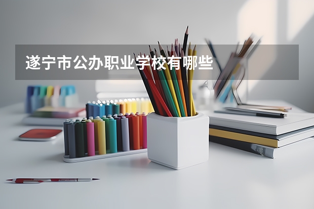 遂宁市公办职业学校有哪些