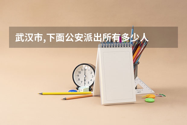 武汉市,下面公安派出所有多少人