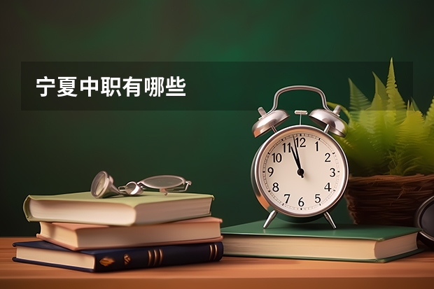 宁夏中职有哪些