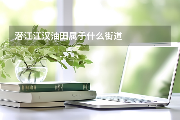 潜江江汉油田属于什么街道
