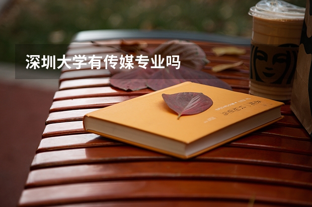 深圳大学有传媒专业吗