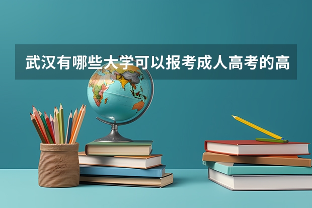 武汉有哪些大学可以报考成人高考的高起本专升本土木工程专业吗？