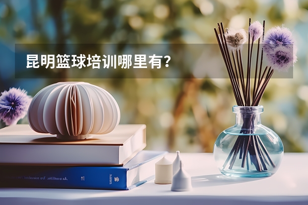 昆明篮球培训哪里有？