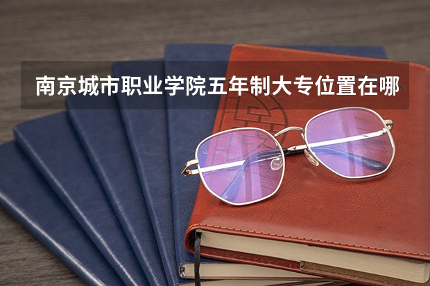 南京城市职业学院五年制大专位置在哪 南京城市职业学院五年制大专情况怎么样