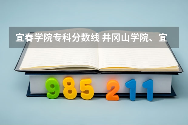 宜春学院专科分数线 井冈山学院、宜春学院、江西理工大学、上饶师范学院最低录取分数线？