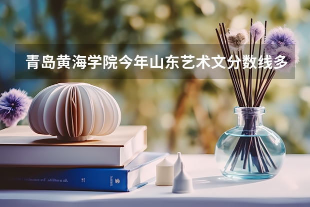 青岛黄海学院今年山东艺术文分数线多少阿