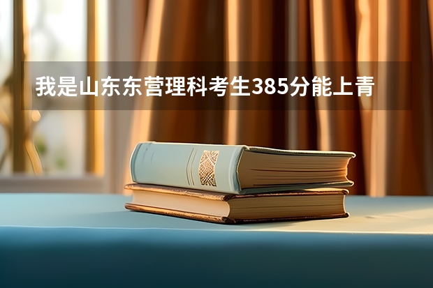 我是山东东营理科考生385分能上青岛理工大学琴岛学院计算机专科吗？
