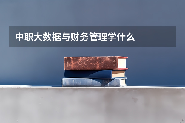 中职大数据与财务管理学什么