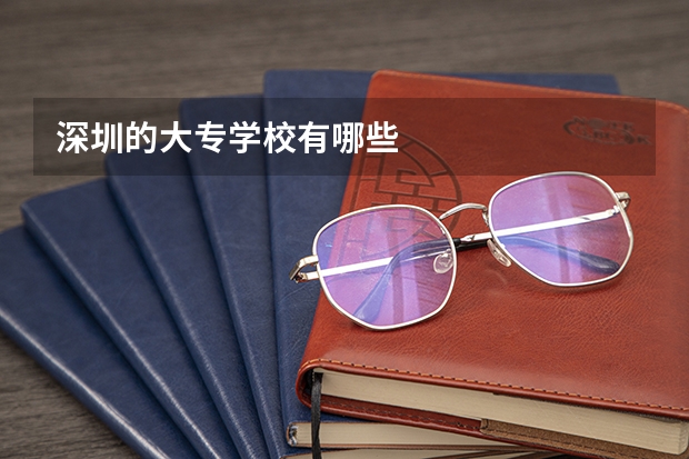 深圳的大专学校有哪些