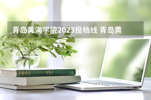 青岛黄海学院2023投档线 青岛黄海学院专业分数线