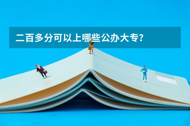 二百多分可以上哪些公办大专?