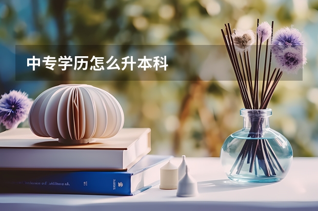 中专学历怎么升本科