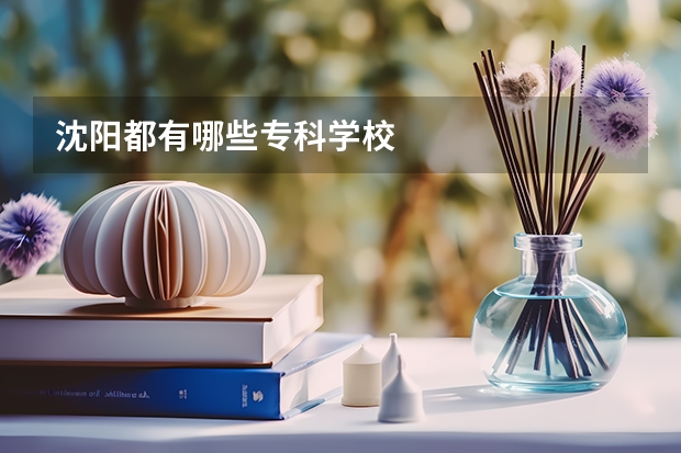沈阳都有哪些专科学校