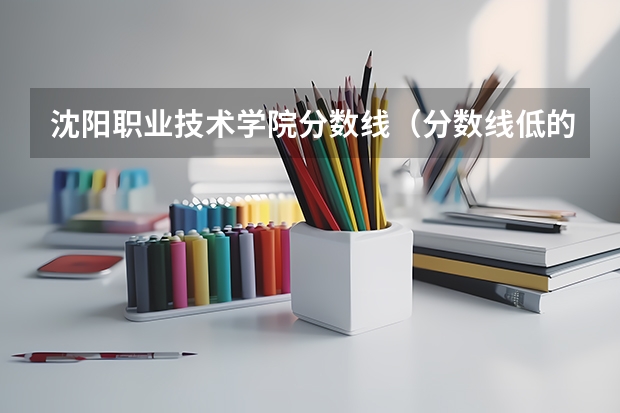 沈阳职业技术学院分数线（分数线低的公办专科）