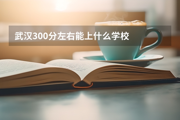 武汉300分左右能上什么学校