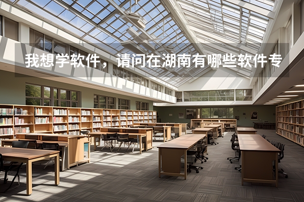 我想学软件,请问在湖南有哪些软件专业办的好的专科院校。。托滚一边去。。。