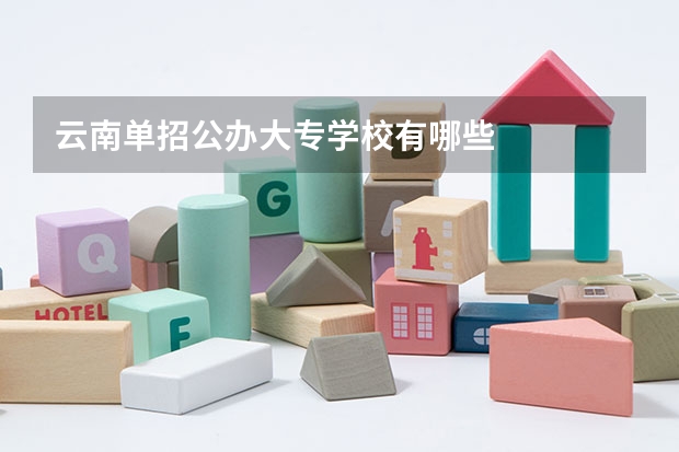 云南单招公办大专学校有哪些