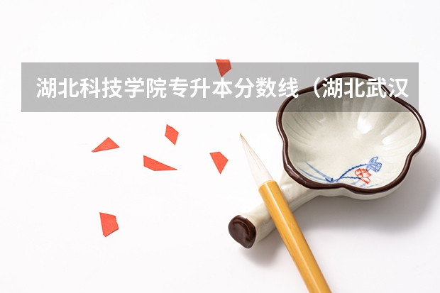 湖北科技学院专升本分数线（湖北武汉大专分数线）