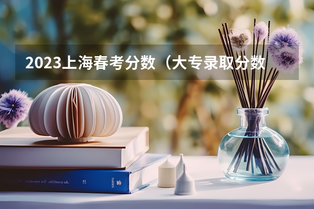 2023上海春考分数（大专录取分数线）