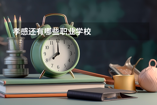 孝感还有哪些职业学校