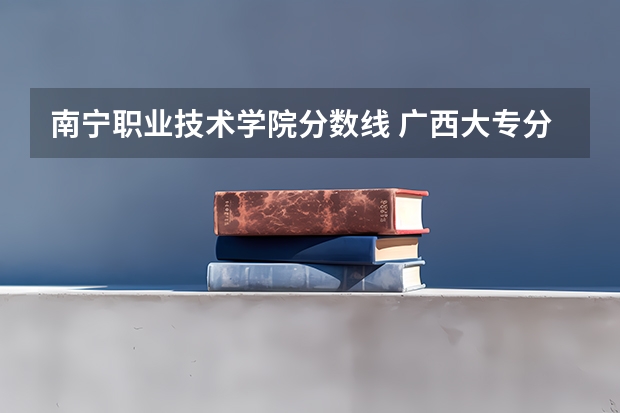 南宁职业技术学院分数线 广西大专分数线