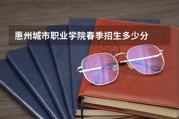 惠州城市职业学院春季招生多少分