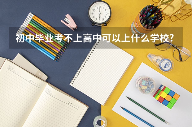 初中毕业考不上高中可以上什么学校??