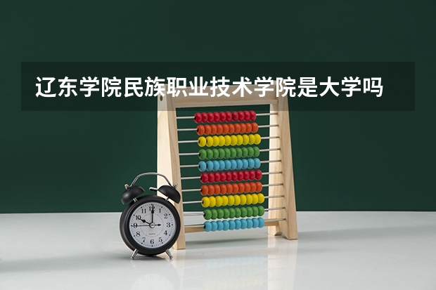 辽东学院民族职业技术学院是大学吗