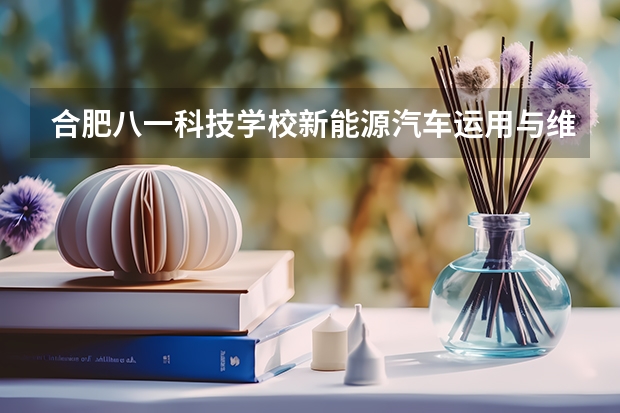 合肥八一科技学校新能源汽车运用与维修培养目标定位
