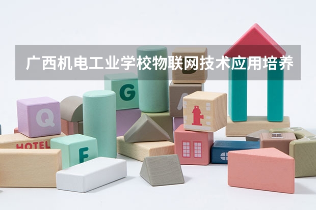 广西机电工业学校物联网技术应用培养目标定位