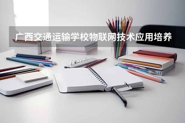 广西交通运输学校物联网技术应用培养目标定位