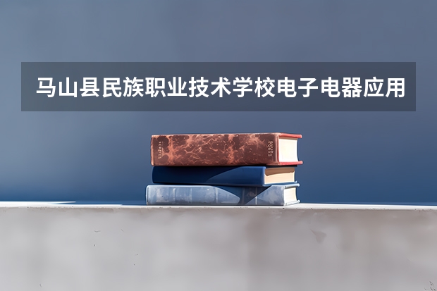 马山县民族职业技术学校电子电器应用与维修培养目标定位